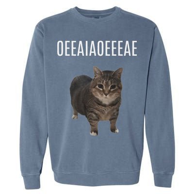 Oiiaoiia Cat Spinning Cat Meme Funny Trendy Cat Lovers Art Garment-Dyed Sweatshirt