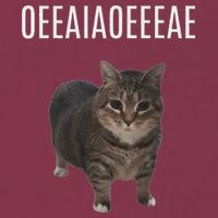 Oiiaoiia Cat Spinning Cat Meme Funny Trendy Cat Lovers Art 16oz Travel Tumbler