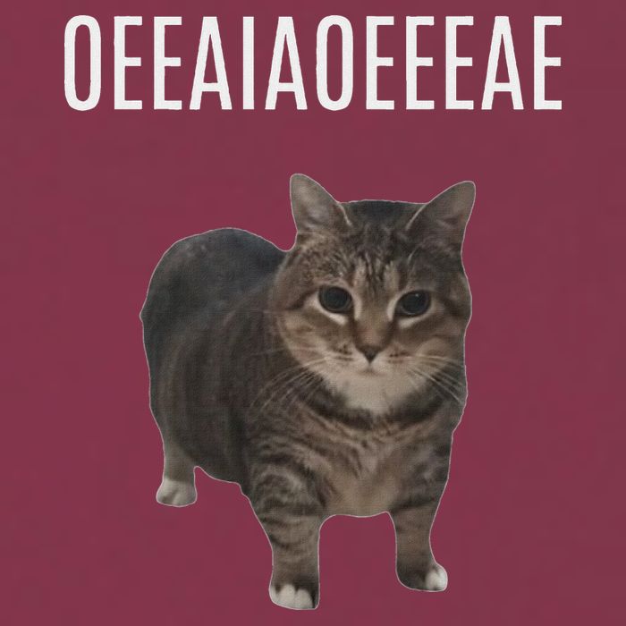 Oiiaoiia Cat Spinning Cat Meme Funny Trendy Cat Lovers Art 16oz Travel Tumbler
