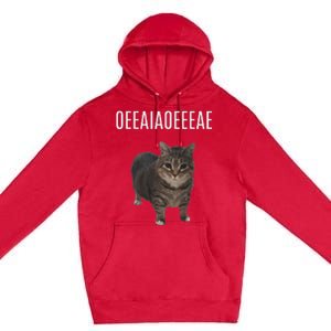 Oiiaoiia Cat Spinning Cat Meme Funny Trendy Cat Lovers Art Premium Pullover Hoodie