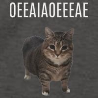 Oiiaoiia Cat Spinning Cat Meme Funny Trendy Cat Lovers Art Vector Backpack