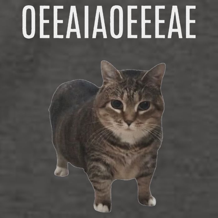 Oiiaoiia Cat Spinning Cat Meme Funny Trendy Cat Lovers Art Vector Backpack