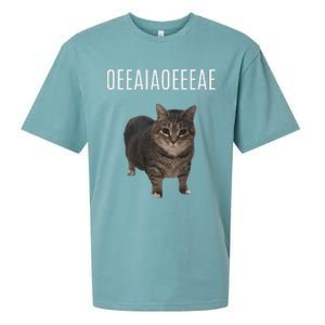 Oiiaoiia Cat Spinning Cat Meme Funny Trendy Cat Lovers Art Sueded Cloud Jersey T-Shirt