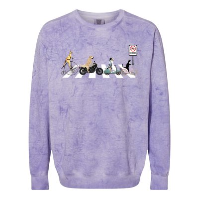 One Cat Two Dogs And A Kangaroo Crossing The Street Gift Colorblast Crewneck Sweatshirt