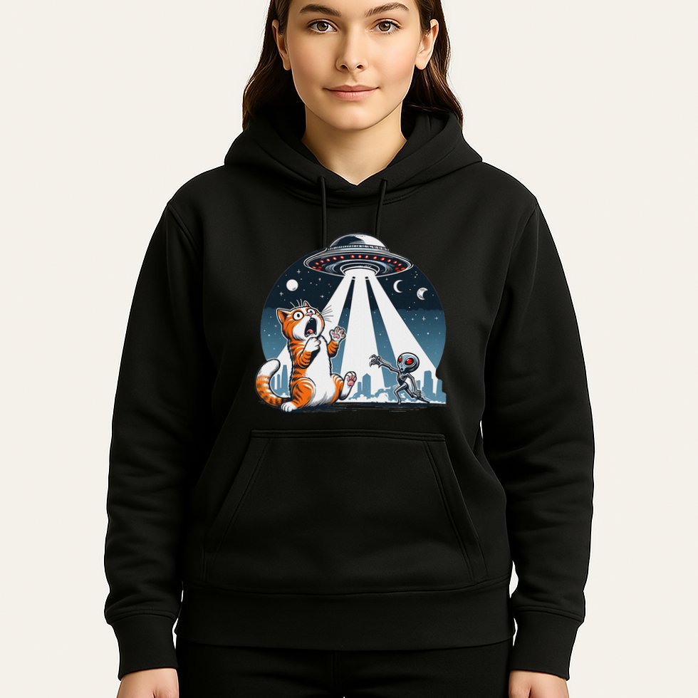 Orange Cat Ufo Hoodie