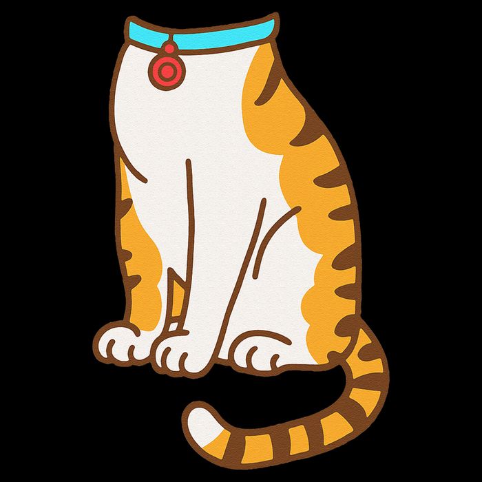 Orange Cat Women Orange Cat Costume Gift Doggie Tank