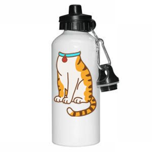 Orange Cat Women Orange Cat Costume Gift Aluminum Water Bottle