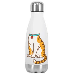 Orange Cat Women Orange Cat Costume Gift Stainless Steel Insulated Water Bottle