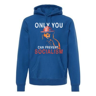 Only Can You Prevent Maga Socialism Funny Gift Premium Hoodie