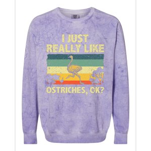 Ostrich Design Ostrich Animal Lover Colorblast Crewneck Sweatshirt