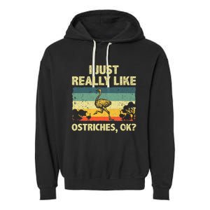 Ostrich Design Ostrich Animal Lover Garment-Dyed Fleece Hoodie