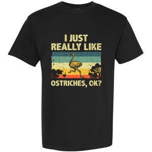 Ostrich Design Ostrich Animal Lover Garment-Dyed Heavyweight T-Shirt