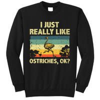 Ostrich Design Ostrich Animal Lover Sweatshirt