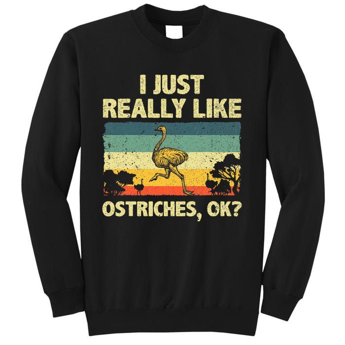 Ostrich Design Ostrich Animal Lover Sweatshirt