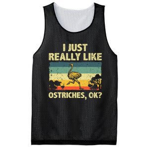 Ostrich Design Ostrich Animal Lover Mesh Reversible Basketball Jersey Tank