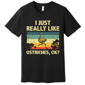 Ostrich Design Ostrich Animal Lover Premium T-Shirt