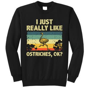 Ostrich Design Ostrich Animal Lover Tall Sweatshirt