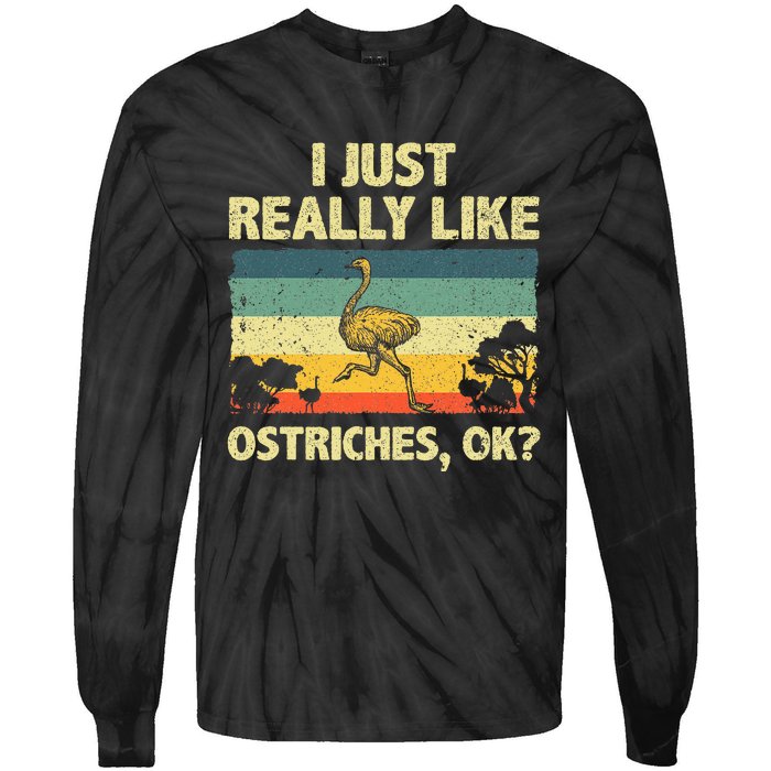 Ostrich Design Ostrich Animal Lover Tie-Dye Long Sleeve Shirt