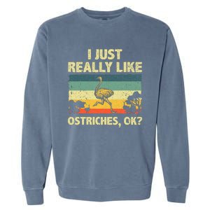 Ostrich Design Ostrich Animal Lover Garment-Dyed Sweatshirt