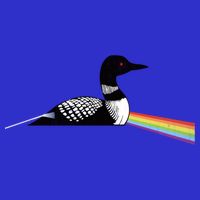 Original Dark Side Of The Loon Bird Watching Classic Rock Gift Toddler Hoodie