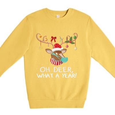 Oh Deer What A Year Christmas Reindeer Family Pajama Deer Gift Premium Crewneck Sweatshirt