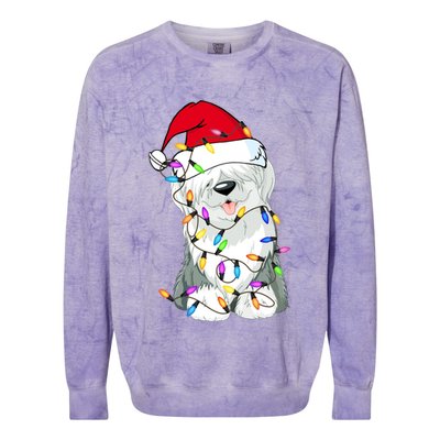 Old English Sheepdog Dog Light Decor Christmas Dog Lovers Long Sleeve TShirt Colorblast Crewneck Sweatshirt