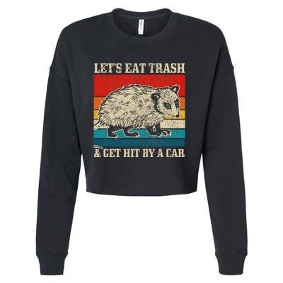 Opossum Eat Trash & Get Hit By A Car Funny Vintage Cropped Pullover Crew