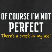 Of Course I Am Not Perfect There's A Crack in My Ass Beanie