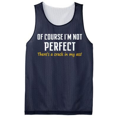 Of Course I Am Not Perfect There's A Crack in My Ass Mesh Reversible Basketball Jersey Tank