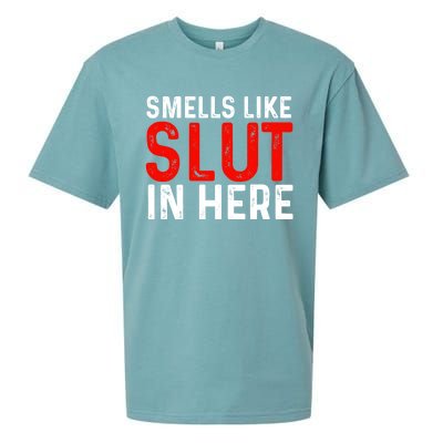 Offensive Funny Adult Humor, Smells Like Slut In Here Sueded Cloud Jersey T-Shirt