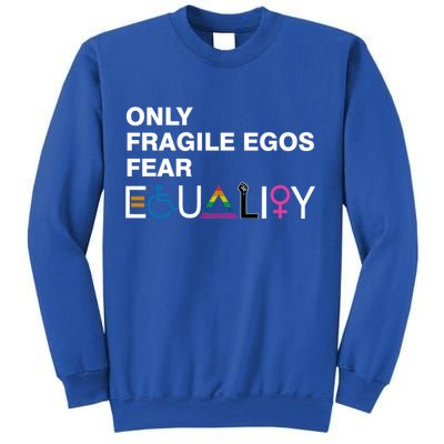 Only Fragile Egos Fear Equality Hu Rights Meaningful Gift Sweatshirt