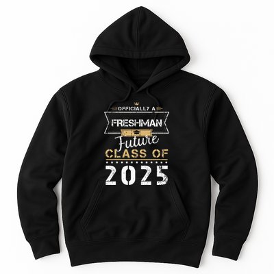 Officially Freshman Future Class Of 2025 Funny First Day 9th Hoodie