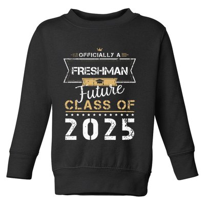 Officially Freshman Future Class Of 2025 Funny First Day 9th Toddler Sweatshirt