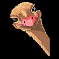 Ostrich face ostrich costume 16 in Basic Backpack