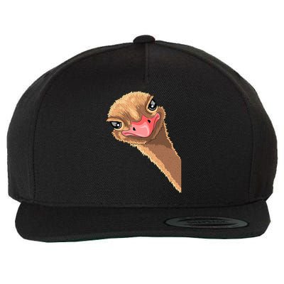 Ostrich face ostrich costume Wool Snapback Cap