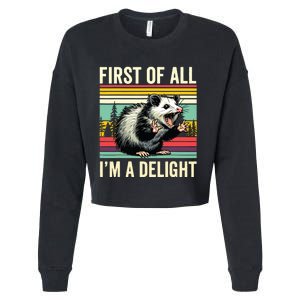 Opossum First Of All Im A Delight Possum Cropped Pullover Crew