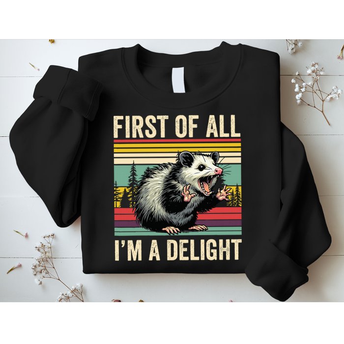 Opossum First Of All Im A Delight Possum Sweatshirt