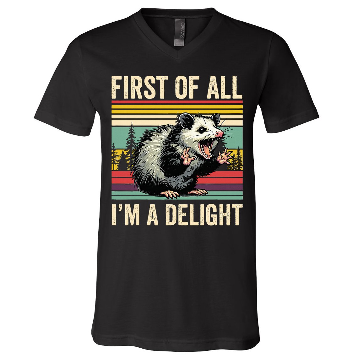 Opossum First Of All Im A Delight Possum V-Neck T-Shirt