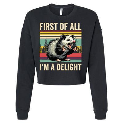 Opossum First Of All Im A Delight Possum Cropped Pullover Crew