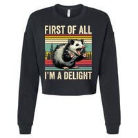 Opossum First Of All Im A Delight Possum Cropped Pullover Crew