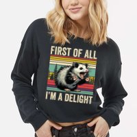 Opossum First Of All Im A Delight Possum Cropped Pullover Crew