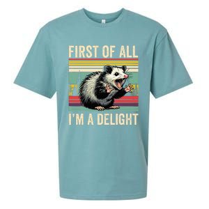 Opossum First Of All Im A Delight Possum Sueded Cloud Jersey T-Shirt