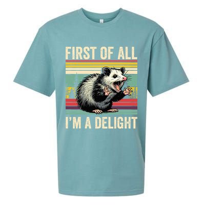Opossum First Of All Im A Delight Possum Sueded Cloud Jersey T-Shirt