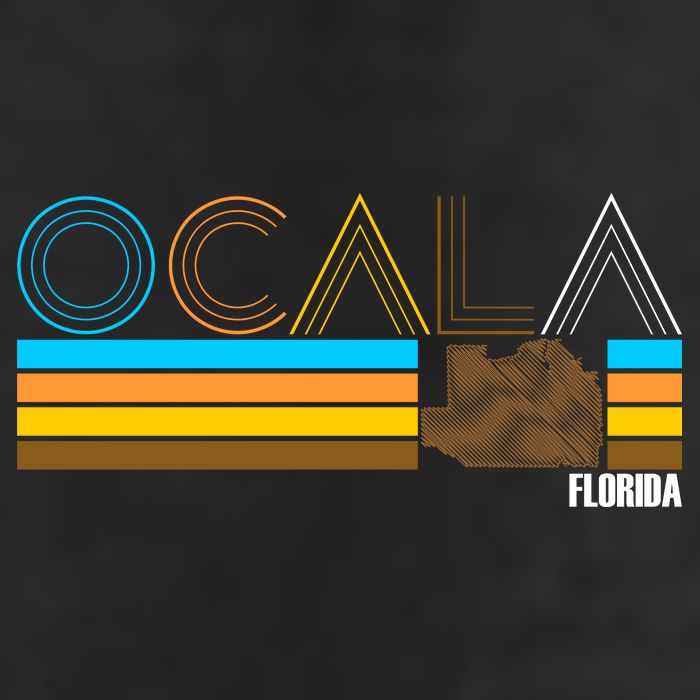 Ocala Florida Retro Adult Drive Performance Visor