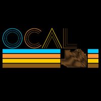 Ocala Florida Retro Mug