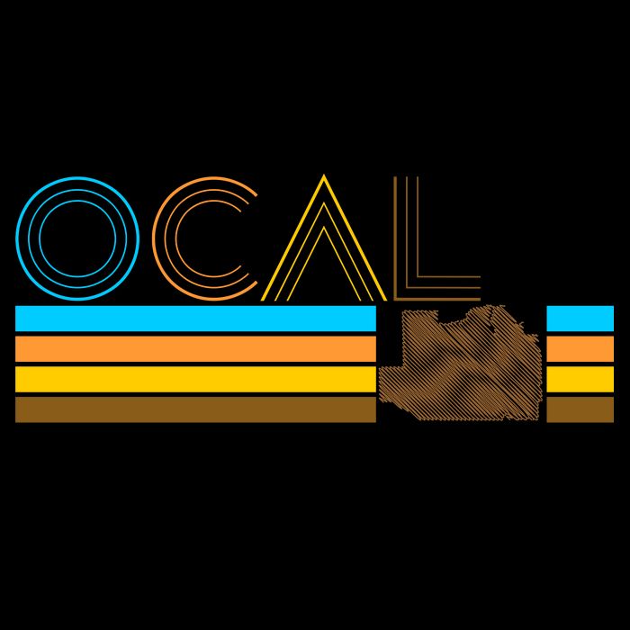 Ocala Florida Retro Mug
