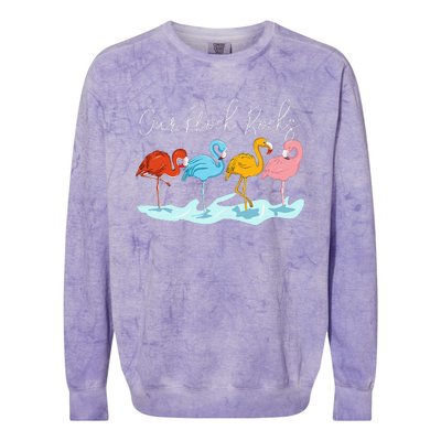 Our Flock Rocks Flamingos Lover Family Colorblast Crewneck Sweatshirt