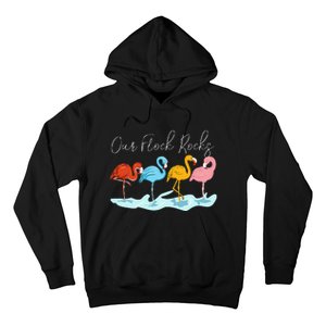 Our Flock Rocks Flamingos Lover Family Hoodie