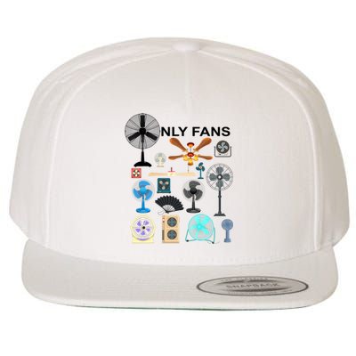 Only Fan Set Funny Ventilators And Fans Wool Snapback Cap