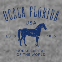 Ocala Florida Usa Horse Capital Distressed Equestrian Design Toddler Hoodie